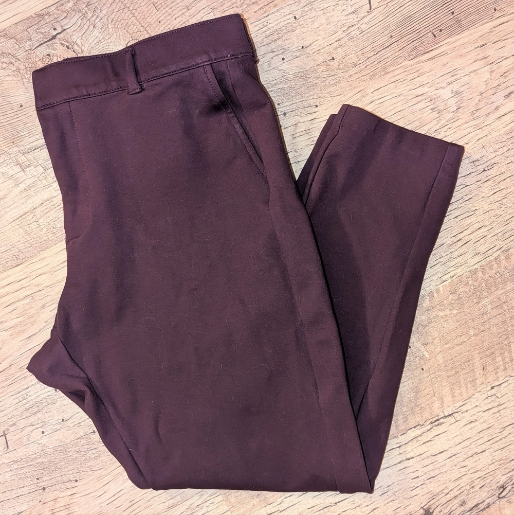 Torrid Straight-Leg Maroon Pants